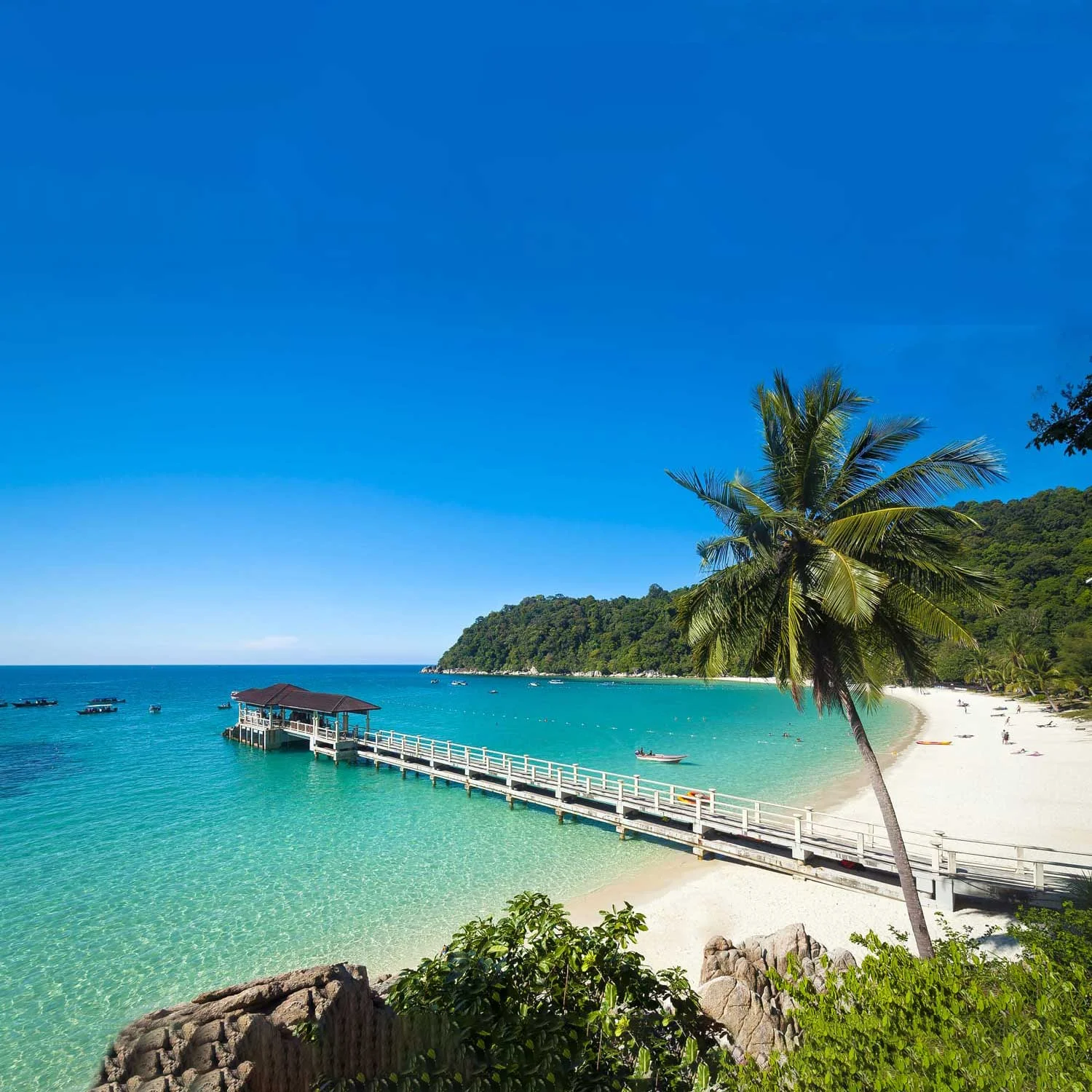 Malaysia Tourist Visa Single Entry photo 1